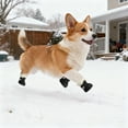 thumbnail image 4 of Bottes de Protection Toutes Saisons avec Semelles Coulissantes pour Marche en Plein Air Randonnée et Course - pour Chiens et Chats, 4 of 5