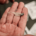 thumbnail image 4 of 6th Sense – Crappie Jig Heads – Crappie Fishing – Multi-Pack – For Soft Plastic Minnows, 4 of 7