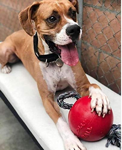 jolly ball replacement rope