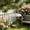 Clear, variant on Bird Feeder Rain Guard Dome Cover Hanging Bird Feeder Protector Weather Proof Shield Squirrel Resistant Baffle Dome for Outdoor Tube Tray Bird Feeders Durable Transparent Garden Bird Accessory