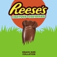 thumbnail image 2 of REESE'S Peanut Butter Carrots, Individually wrapped, kosher certified, 158g, 2 of 7