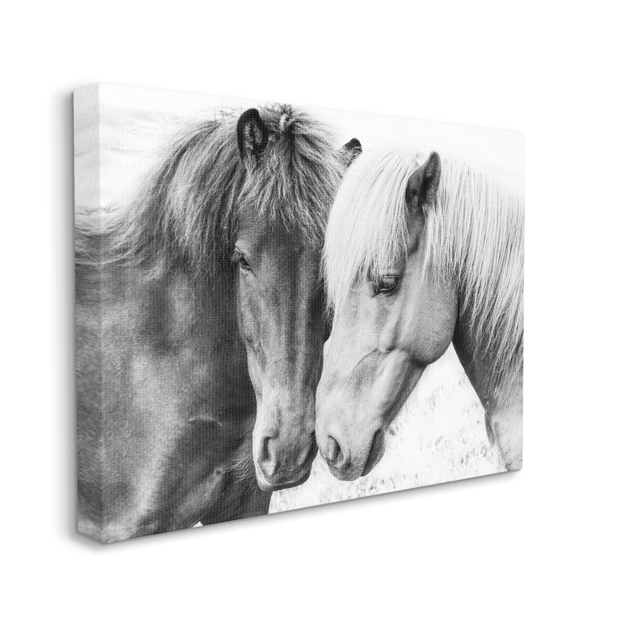 Stupell Industries Horse Love Duo Portrait Animals & Insects Photography Gallery Wrapped Canvas Print Wall Art, 20 x 16