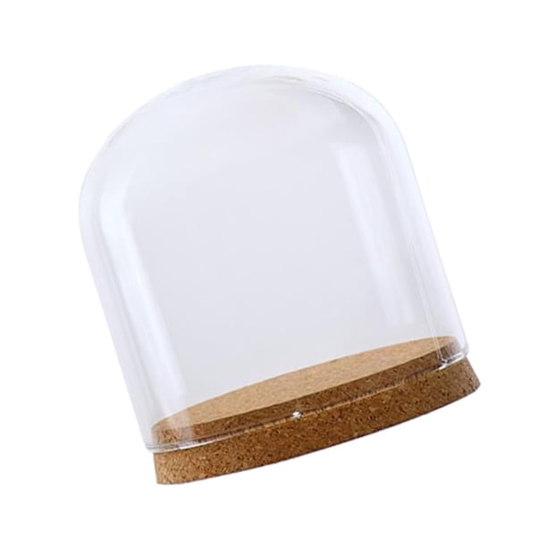 Pantal De Cristal Cubierta De Campana Jar Pntas Suculentas Terrarios Con Corcho De Para perfecl Recipiente para terrario con base