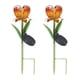 thumbnail image 1 of Estacas de flores de vidrio solar, paquete de 2 luces solares de jardín para patio o césped, 1 of 5