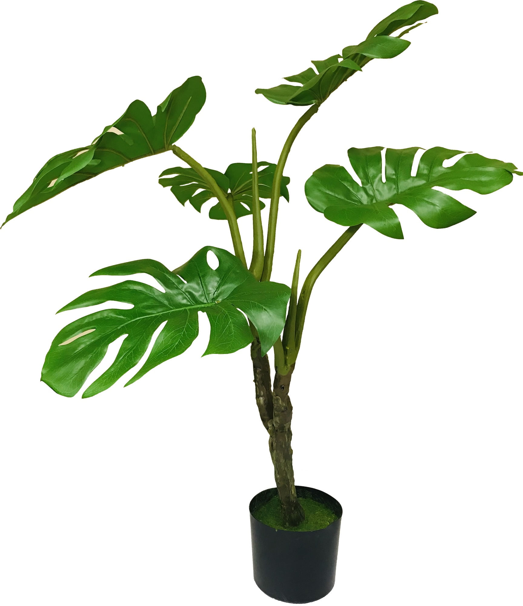 Regency Monstera Plant Artificial Potted 52&quot;