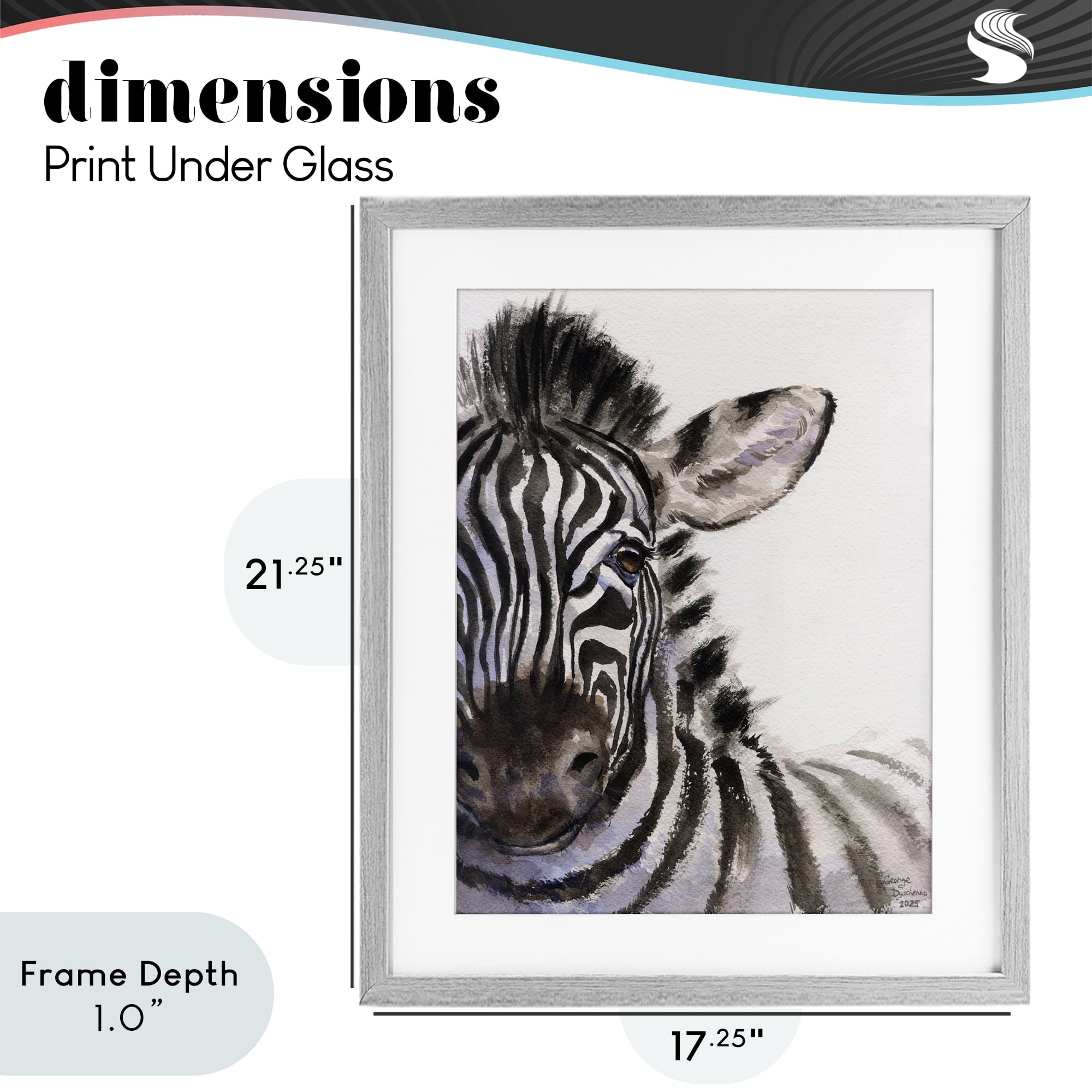Stupell Industries Zebra Portrait on White Gray Framed Print Under Glass, design by George Dyachenko