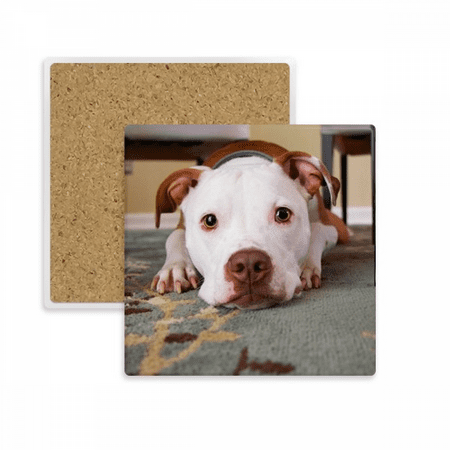 

White Bulldog Pet Animal Picture Square Coaster Cup Mat Mug Subplate Holder Insulation Stone