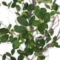 thumbnail image 6 of Noble House Bergweg 4' x 1.5' Artificial Leaf Tree, Green, 6 of 7