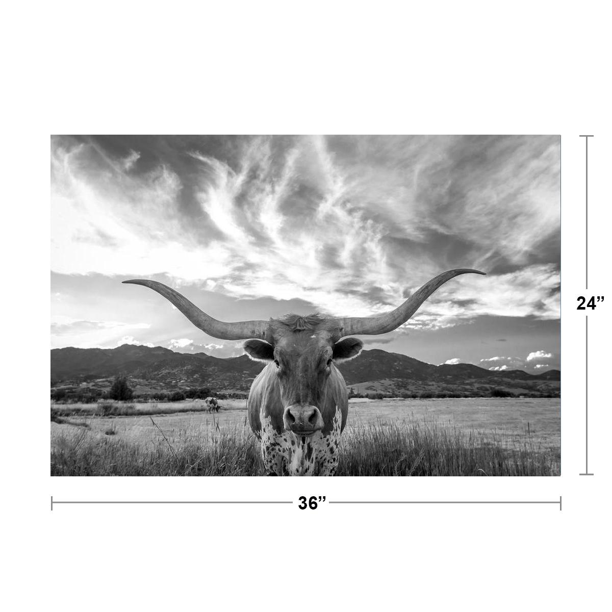 Texas Longhorn Bull Standing Pasture Close Up Photo Decor Art Print Poster 36x24