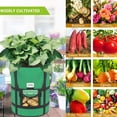 thumbnail image 2 of EIMELI 3Pcs Plant Grow Bags 10 Gallon Non-Woven Breathable Plant Grow Pots with Sturdy Handless Reusable Growing Containers for Potato Vegetable and Flowers, 2 of 9