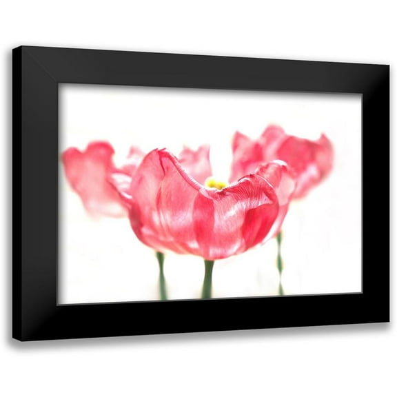 Tyrrell, Lu Anne 14x11 Black Modern Framed Museum Art Print Titled - Three Tulips