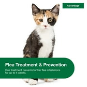Advantage Topical Flea Treatment & Prevention For Small Cats 2-9 lbs. (2 Count)