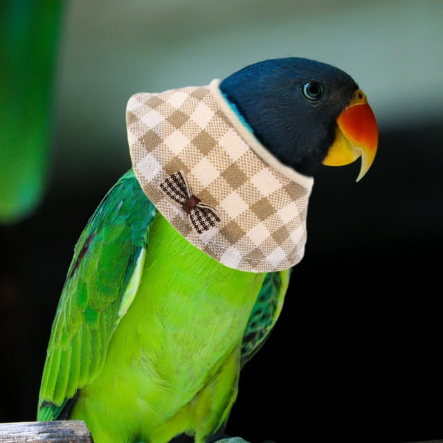 Raindrops 2Pcs Beige Bird Elizabethan Collar Protective Neck Cover for Parrots Budgerigars Post Injury