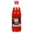 thumbnail image 4 of Canada Dry® Pomegranate Ginger Ale 500 mL Bottle, 4 of 7