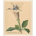 thumbnail image 2 of Hendrik Schwegman 20x24 Black Ornate Framed Double Matted Museum Art Print Titled: Doornappel (1771), 2 of 5