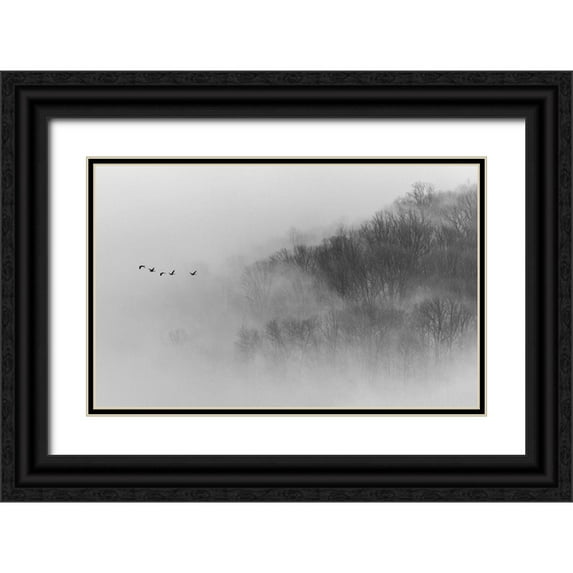 Austin 24x17 Black Ornate Wood Framed with Double Matting Museum Art Print Titled - Above Mist