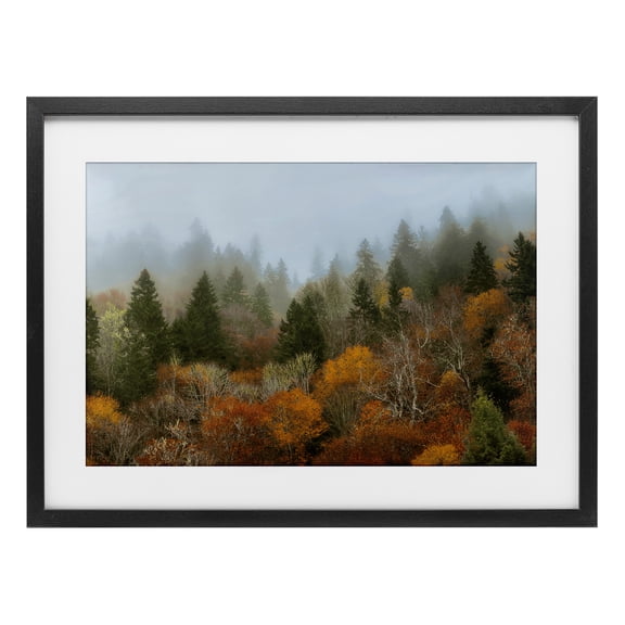 Stupell Industries Autumn Mountain Overview Gray Framed Print Under Glass design by D. Burt, 14 x 20