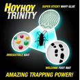 thumbnail image 5 of HOY HOY Roach Trap, Great for Home with Kids and Pets, Sticky Pest Control Trap for Indoor, Made in Japan 10 Traps (5 Trap x 2 Pack), 5 of 7