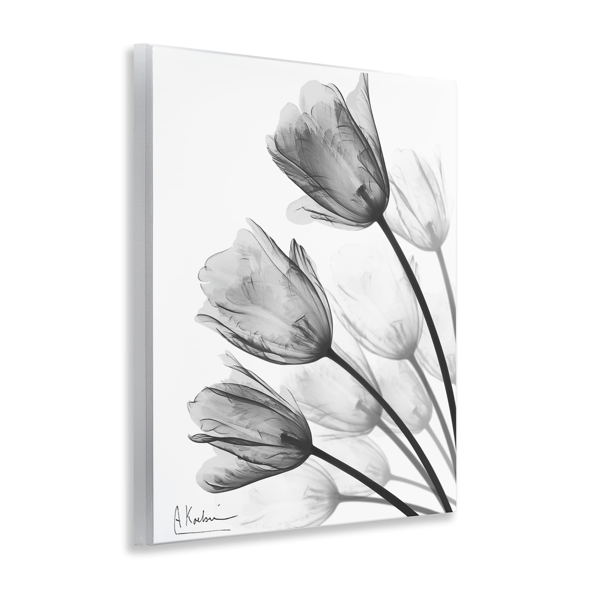 Stupell Industries Minimalist Tulip Fan Wall Plaque Art, design by Albert Koetsier