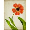 thumbnail image 2 of Stalus, Judy 25x32 Gold Ornate Wood Framed with Double Matting Museum Art Print Titled - Parchment Flowers V, 2 of 4
