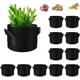 thumbnail image 1 of Bolsas de siembra no tejidas, paquete de 12 para papas, plantas y tomates, 1 of 5