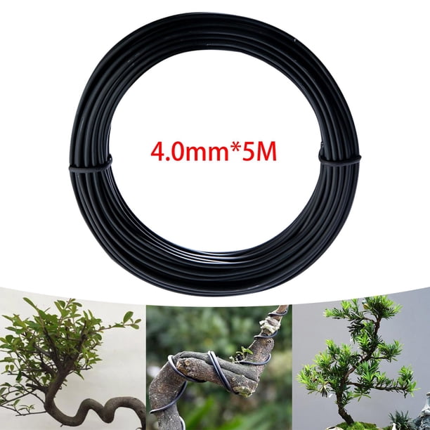 Alambre de bonsái shamjiam Soporte para plantas Aluminio 40 mm x 5 m