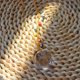 thumbnail image 5 of Crystal Wind Chimes Colorful Devil Eye Prismas colgantes Light Catcher Ornaments Tmvgtek 6vz7ts2yp2ps1tc1, 5 of 8