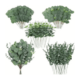 thumbnail image 1 of "30p Hojas De Eucalipto Artificial 4 Tipos Plantas Para Ramo Belug  Verde ", 1 of 5