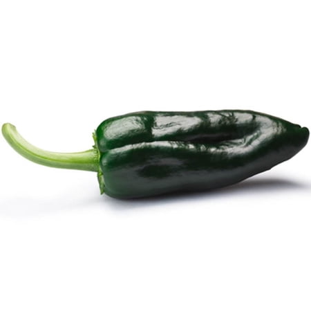 Ancho Poblano Pepper Seeds/ Perennial/ Full Sun/ 16K Seeds 1/4 lb/ Zellajake Farm and Garden - B60