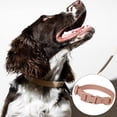thumbnail image 4 of Collier Imperméable pour Petits Chiens Colliers Réglables Anti-Odeur, 4 of 5
