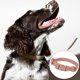 thumbnail image 4 of Bienvenido Collar de perro impermeable para perros medianos Collares ajustables a prueba de olores, 4 of 5