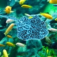 thumbnail image 4 of Artificial Fish Aquarium Ornament, Luminous Simulation Harmless Silicone Faux Clownfish Floating Landscaping Fish Tank Accessory for Home Decoration, 4 of 8