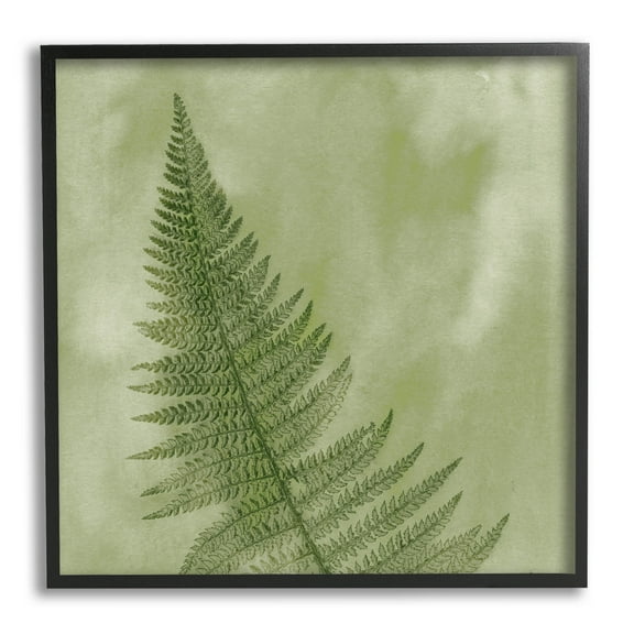 Modern Fern Nature Plant Botanical & Floral Graphic Art Black Framed Art Print Wall Art