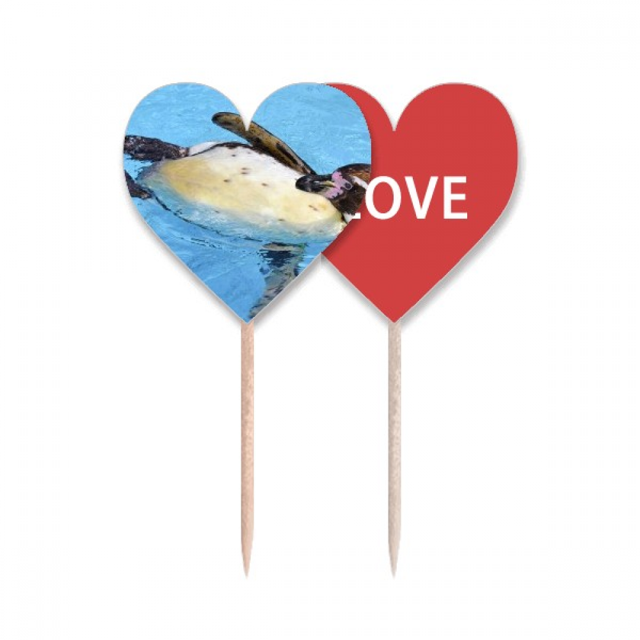 Piscina pingüino Antártico ciencia naturaleza foto Palillos de dientes bandera etiqueta de amor selección de pastelitos