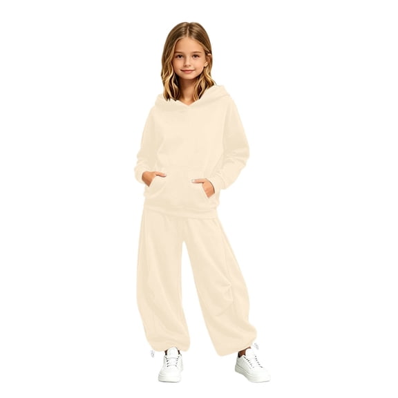 Tiijoy Toddler Girls Outfits Activewear Hoodie Baggy Sweatpants Sweatsuits, Sizes 2-3