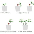 thumbnail image 3 of Paquete de 30 clips de entrenamiento de planta con ángulo de curvatura ajustable, 3 of 6