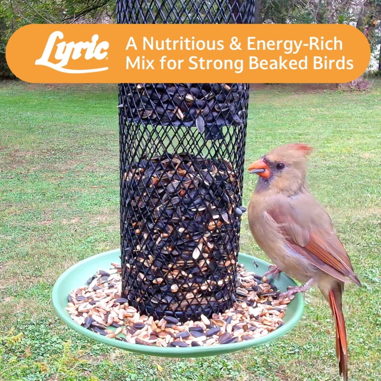 Lyric Cardinal Sunflower & Safflower Mix Wild Bird Food, 3.75 Lb photo 8