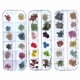 thumbnail image 3 of Dried Flowers For Nail And Resin Jewellery 12 Pcs 3d Nail Art Stickers Decoration-Manicure Dcoration, 3 of 3