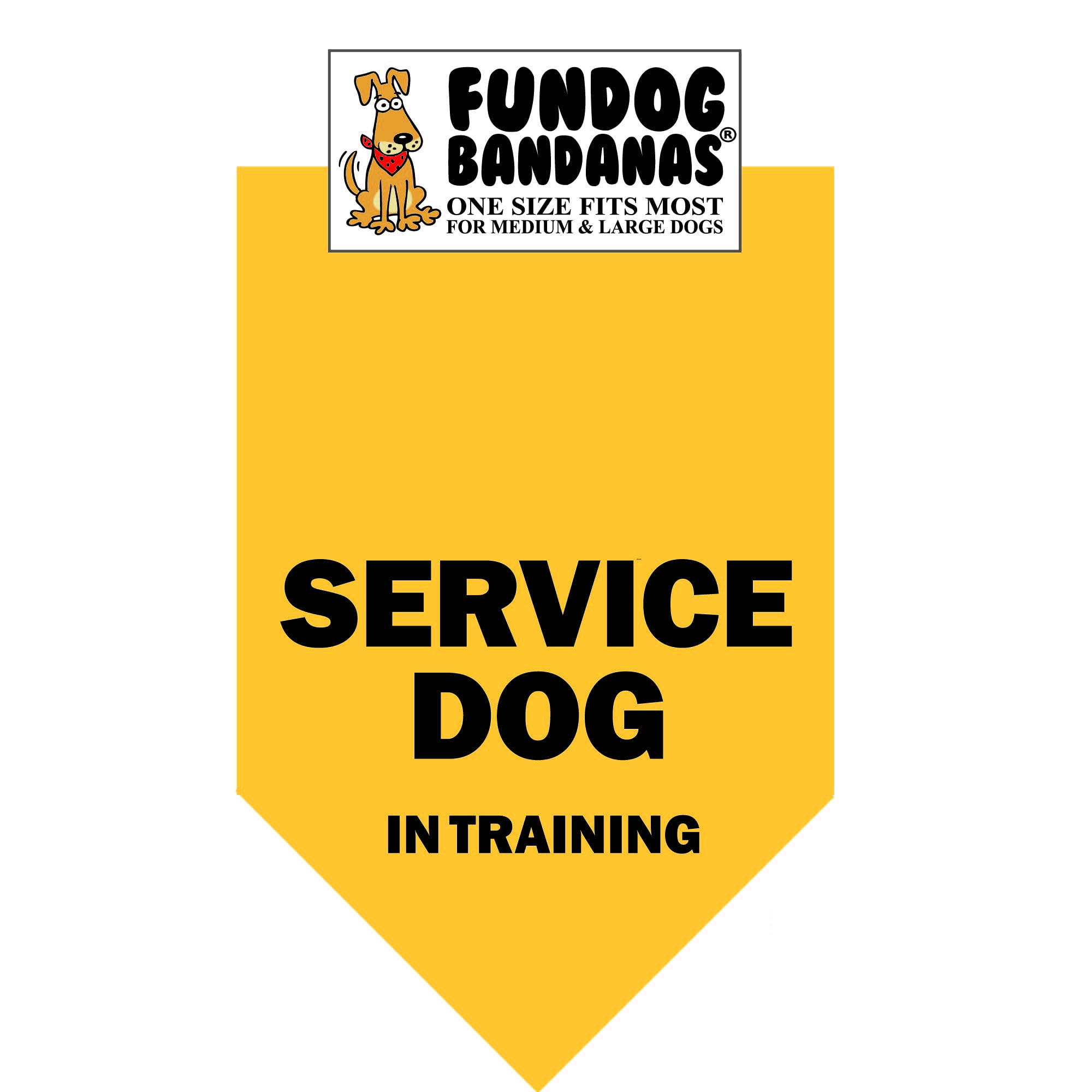 dog in training bandana