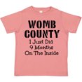 thumbnail image 3 of Inktastic Womb County I just Did 9 Months on the Inside Boys or Girls Toddler T-Shirt, 3 of 5