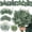 Attractive Eucalyptus Leaves Stems-70, variant on 50mixed Eucalyptgreenery Stems 3 Kinds Breath Flowers Artificial Bulk With Faux For Diy Bouquets Wedding Flarrangement Home Decor