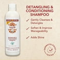 thumbnail image 5 of Creme of Nature Coconut Milk Detangling & Conditioning Shampoo, 12 fl oz, 5 of 8