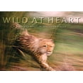 thumbnail image 1 of Pre-Owned Wild at Heart: Man and Beast in Southern Africa (Hardcover) 0792269055 9780792269052, 1 of 1