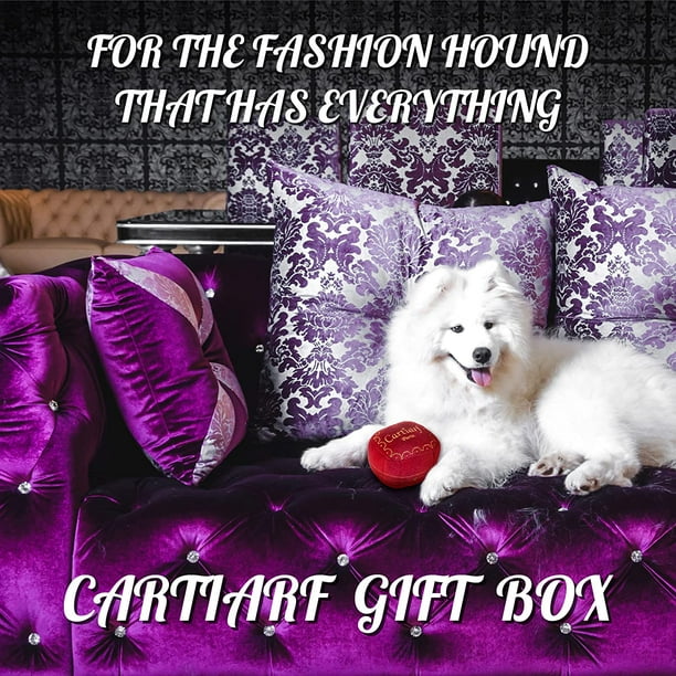 Dog toy gift box hot sale