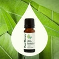 thumbnail image 3 of Plant Therapy Organic Lemon Eucalyptus Essential Oil 100% Pure, USDA Certified Organic, Undiluted, Natural Aromatherapy 10 mL (1/3 oz), 3 of 8