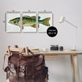 thumbnail image 3 of Stupell Lake House Bass Fish Wildlife Animals & Insects Painting White Framed Art Print Wall Art, Set of 3, 3 of 8