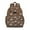 Brown Cartoon Dinosaurs-2, variant on Brown and Teal Dinosaur Pattern Backpack for School,Cute School Bag,Schoolbag with Adjustable Shoulder Straps & Padded Back,15.25"x11.5"x5.25"