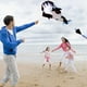 thumbnail image 4 of Cometa de delfín para niños cometa de ballena con cola larga Tmvgtek voladora cometas de acrobacias colas largas diversión al aire libre deportes juguetes voladores Rips, 4 of 8