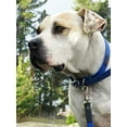 thumbnail image 3 of REGULAR LEAD, 3 of 5
