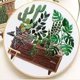thumbnail image 3 of Kit de inicio de bordado con plantas, punto de cruz, arte, costura, bastidor, tela, juego de agujas EC004, 3 of 9
